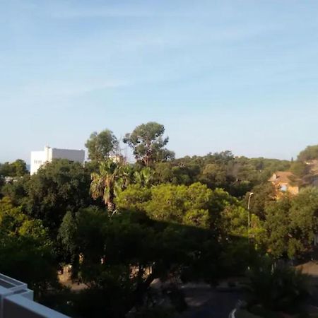 Mer Et Soleil Saint-Raphaël Exteriör bild